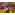 image_1