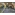 image_1